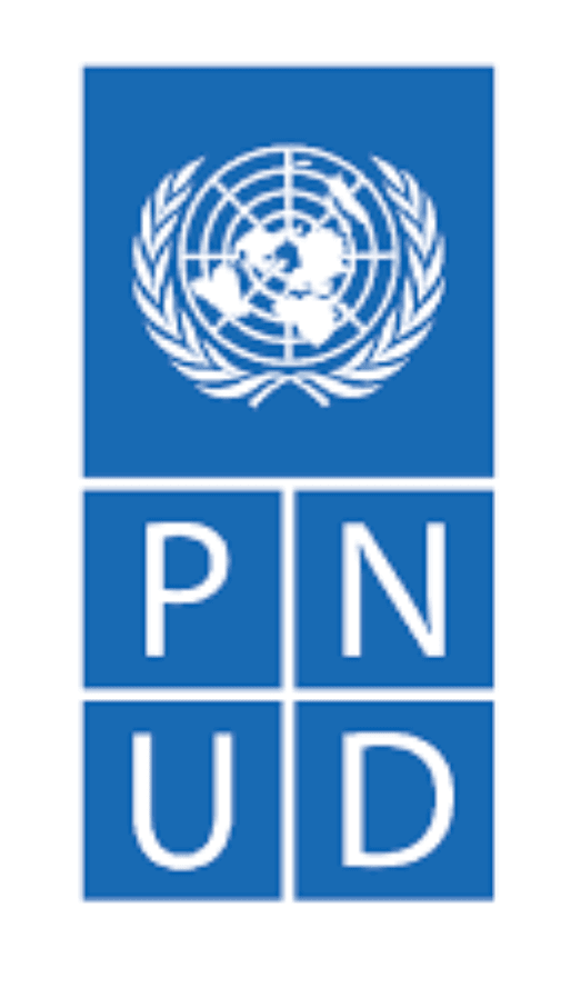 Programa de las Naciones Unidas para el Desarrollo